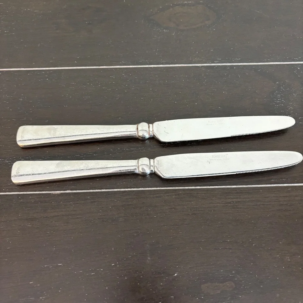 Cambridge |‎ Stainless Korea Dinner Knives | Set of 2 Dinner Knives